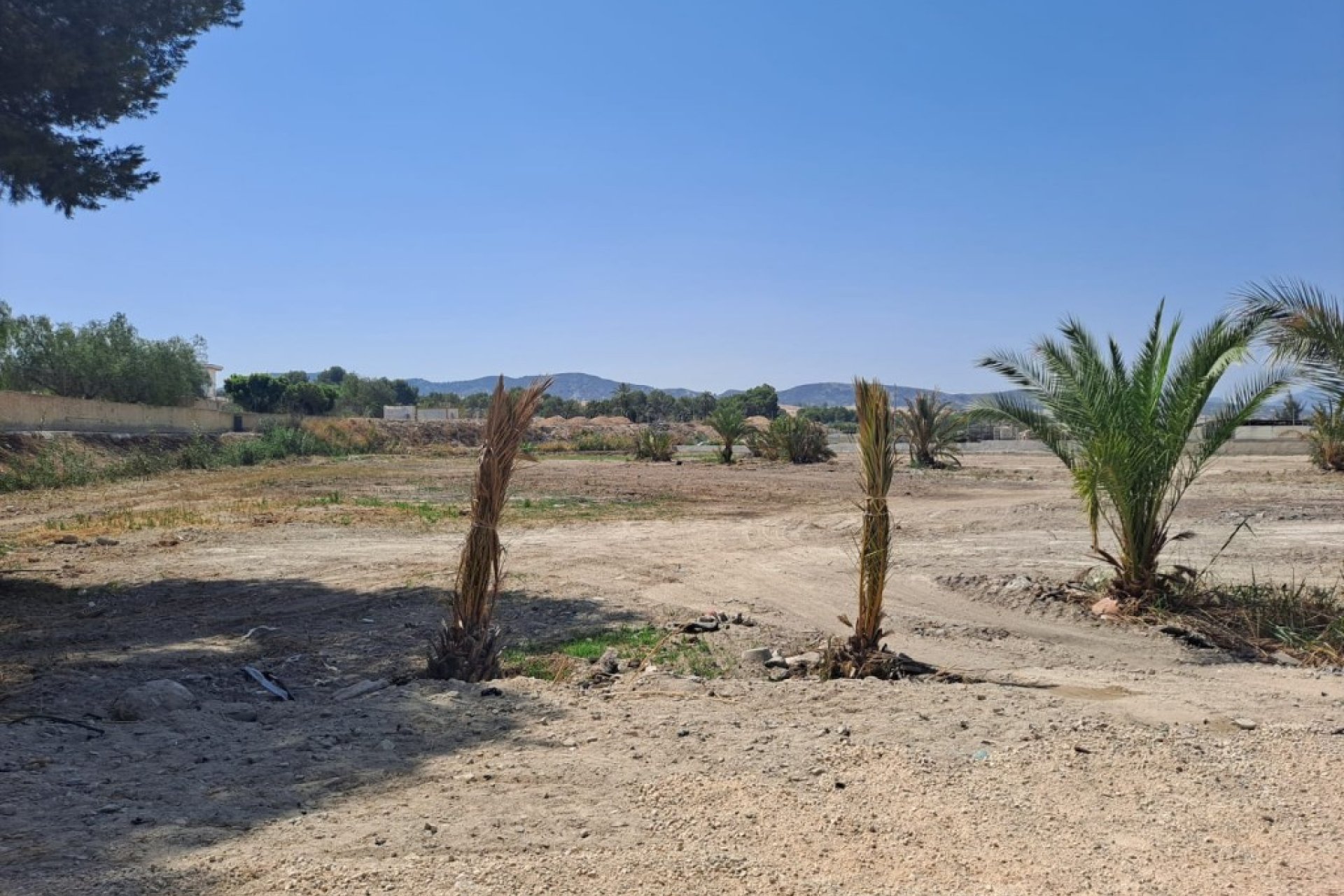 Resale - Finca - Orihuela