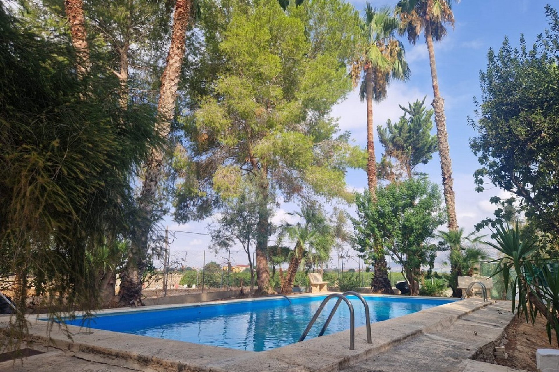 Resale - Finca - Orihuela