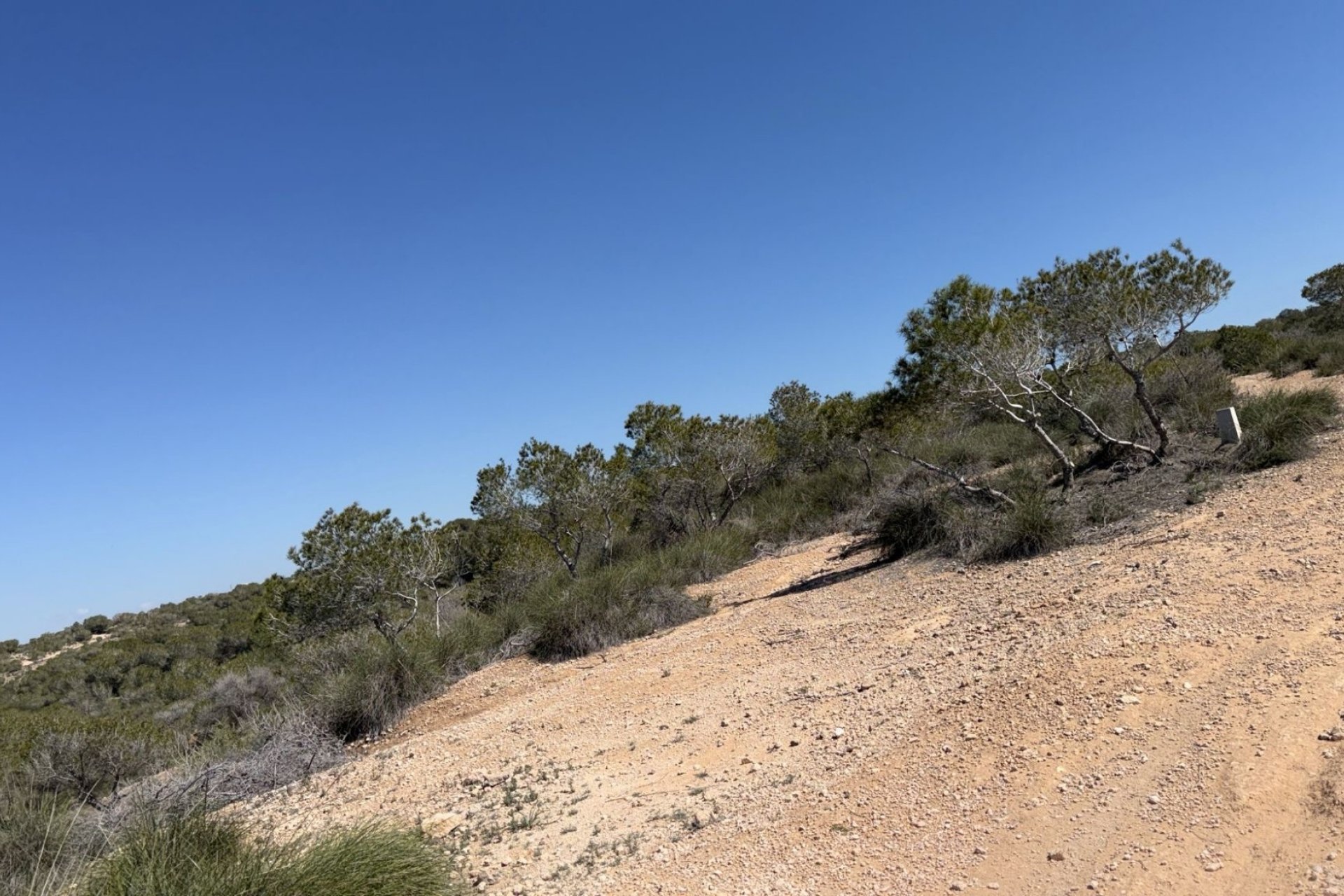 Resale - Land and Plots - San Fulgencio * - La Marina *