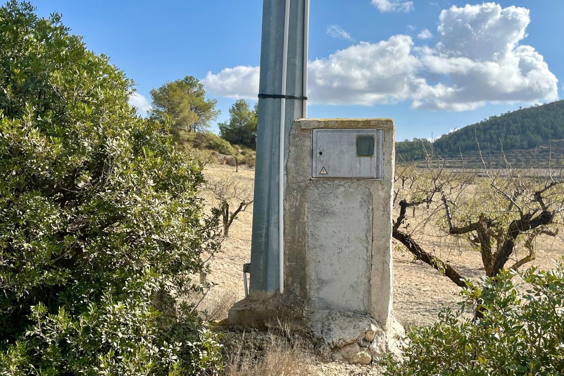 Resale - Plot * - Bullas *