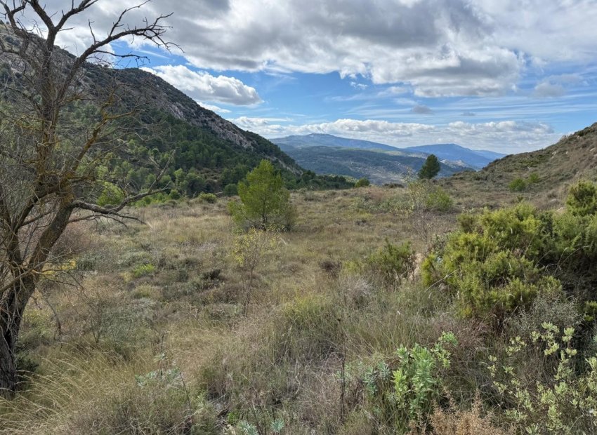 Resale - Plot * - Confrides - Barranc de Xarquera