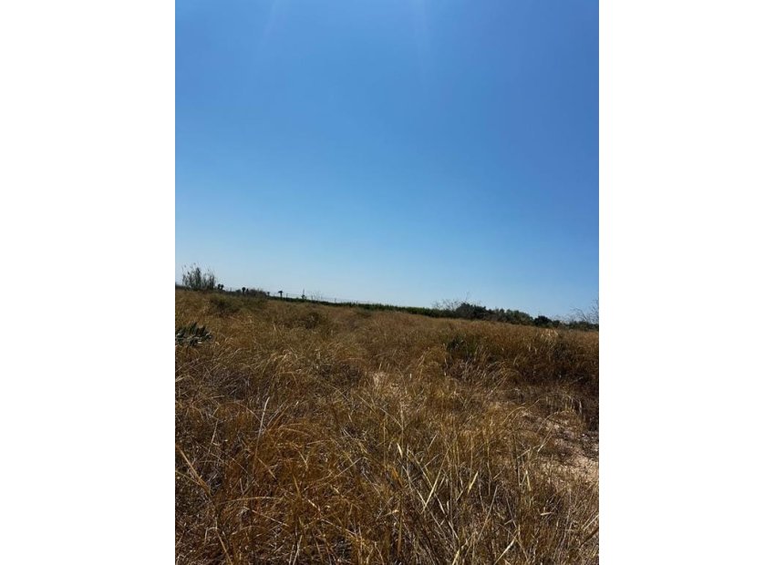 Resale - Plot * - Elche