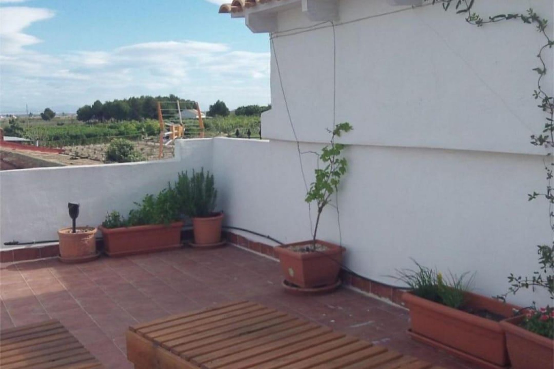 Resale - Terraced house - Almoradi - El saladar