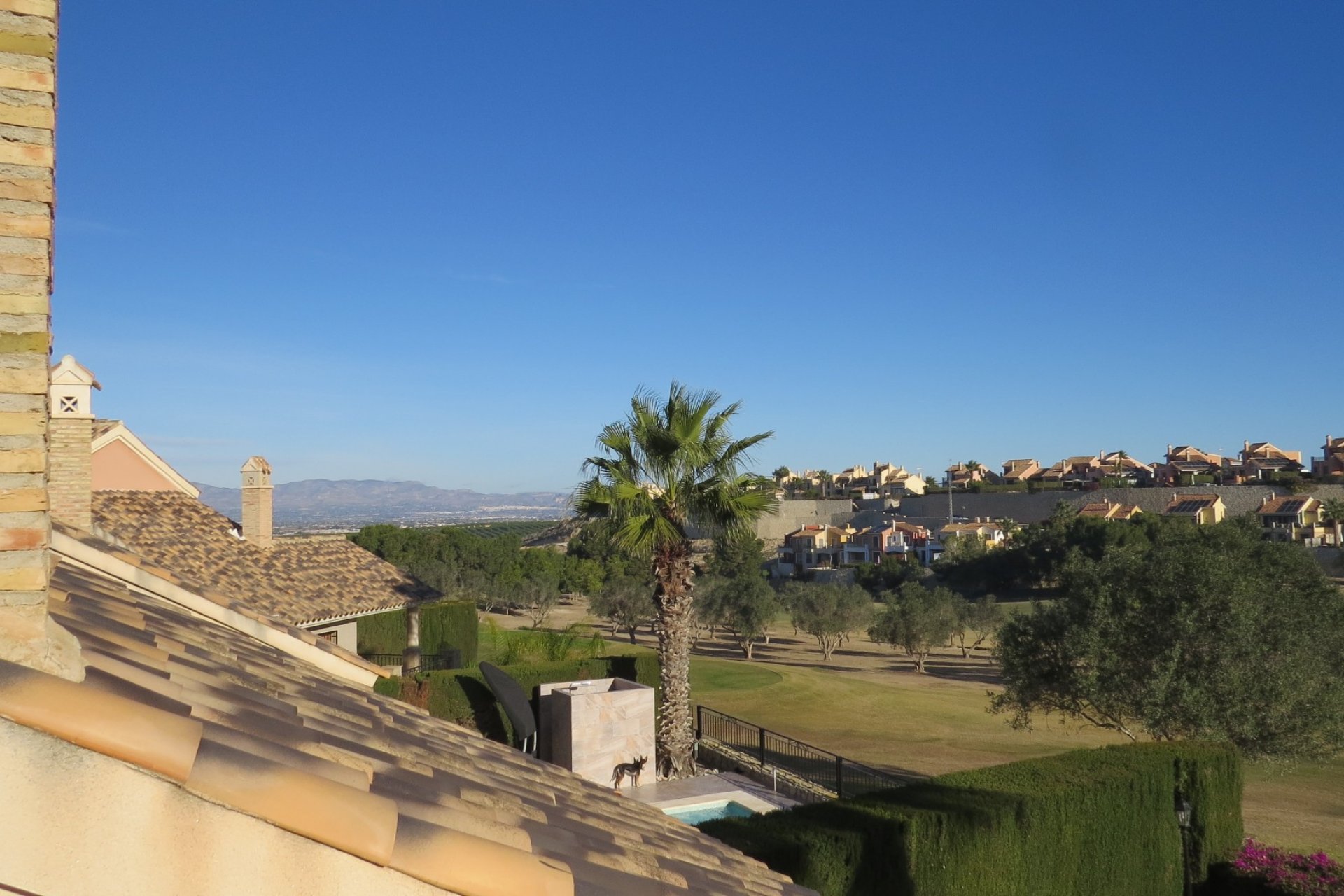 Resale - Villa - Algorfa - La Finca Golf