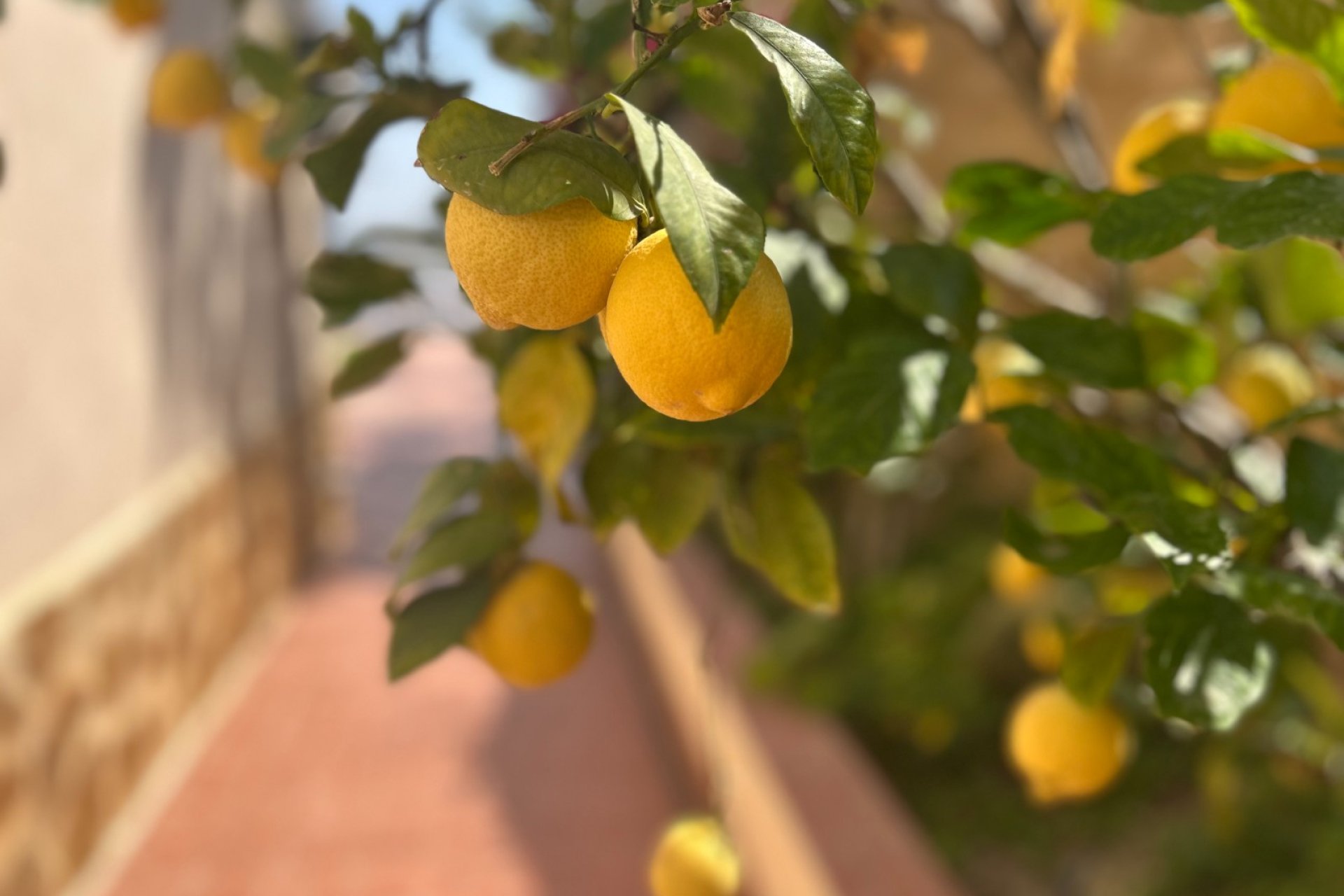 Resale - Villa * - Algorfa *