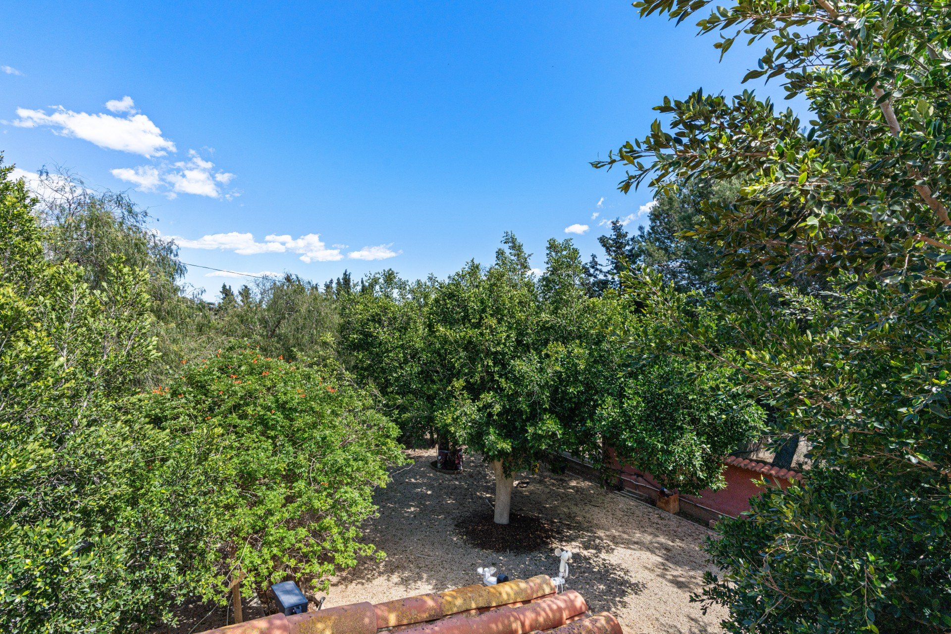 Resale - Villa * - El Altet - San Francisco de Asis