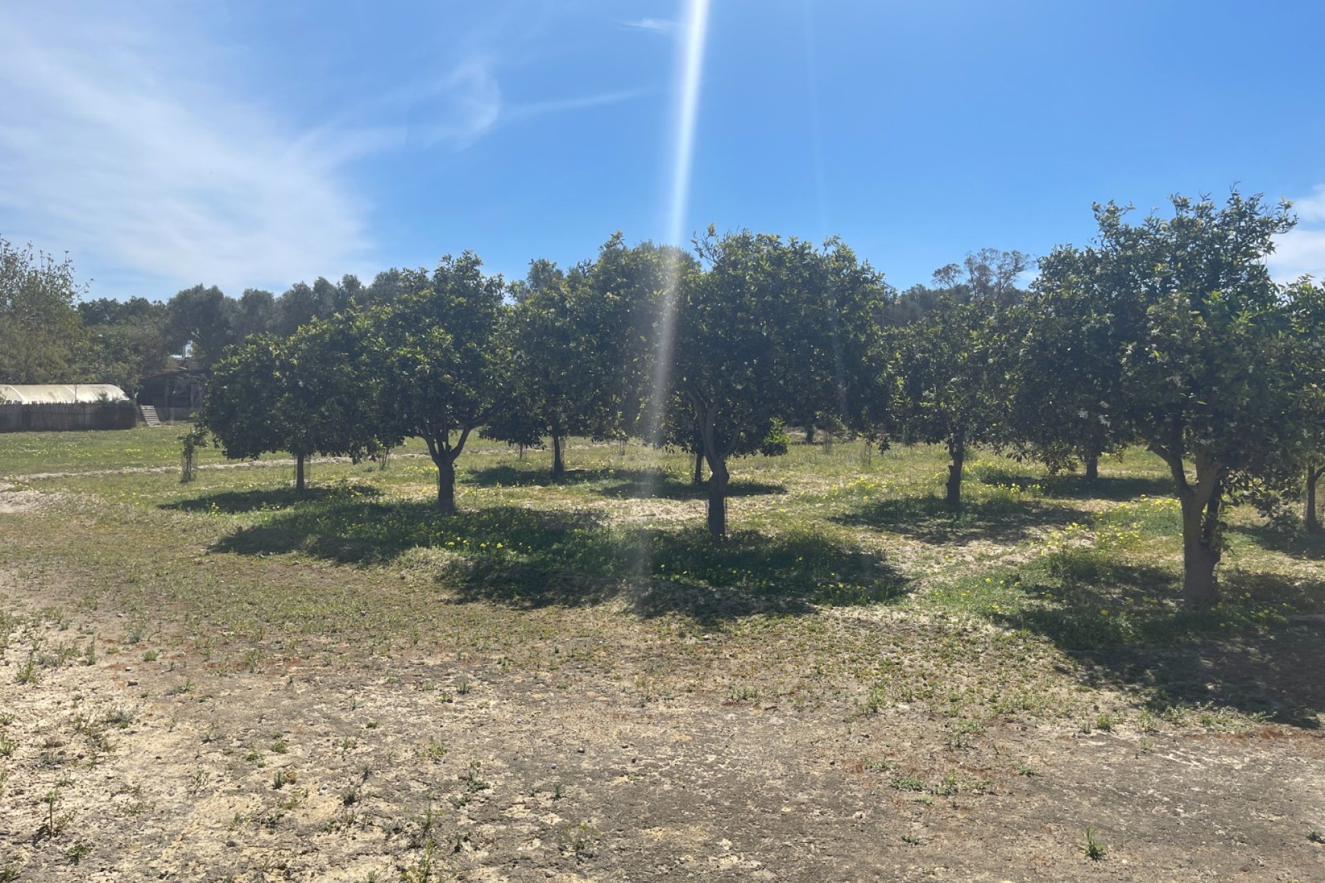 Resale - Villa * - Guardamar del Segura - Valencian Community