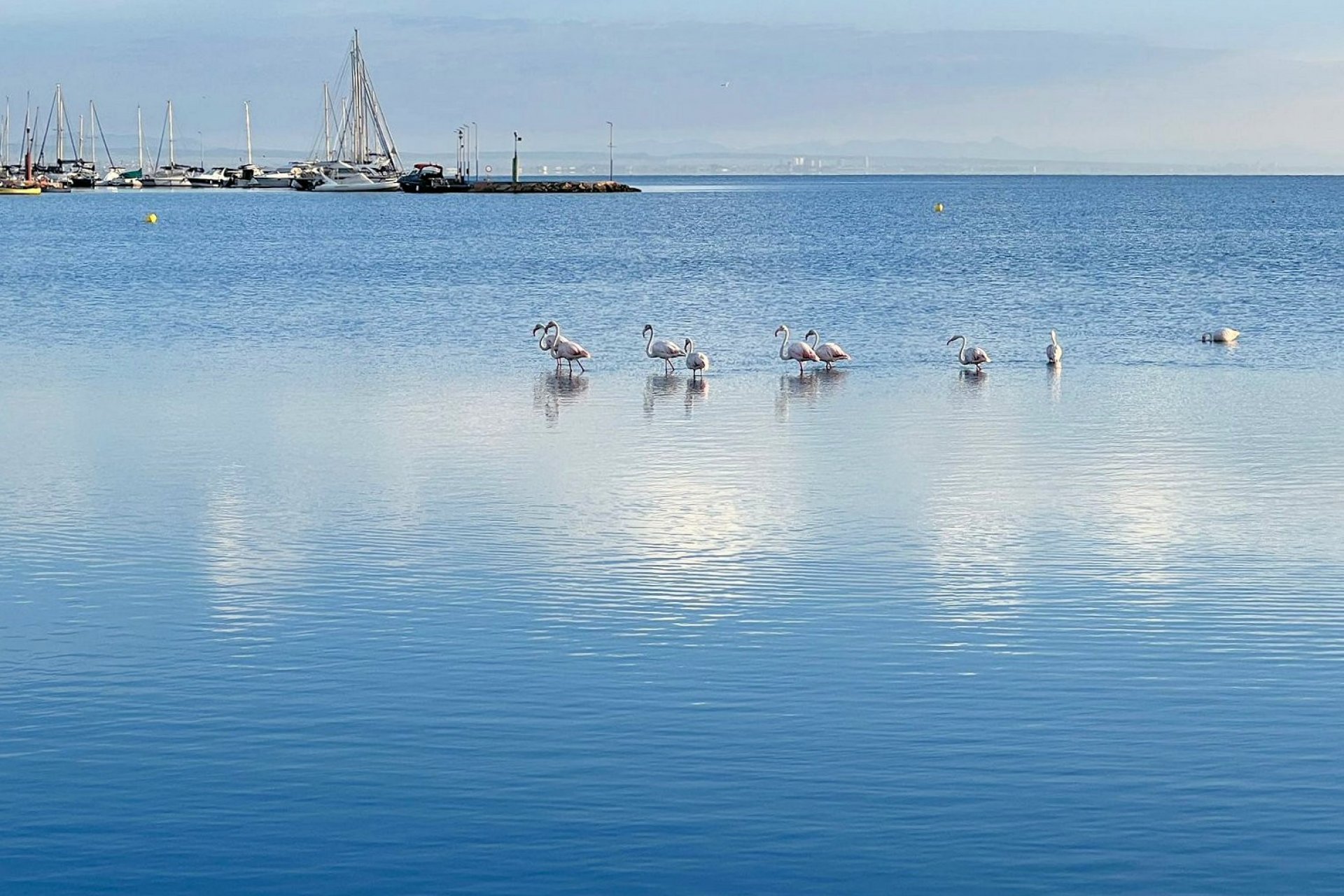 Resale - Villa * - Los Urrutias - Los Urrutias *