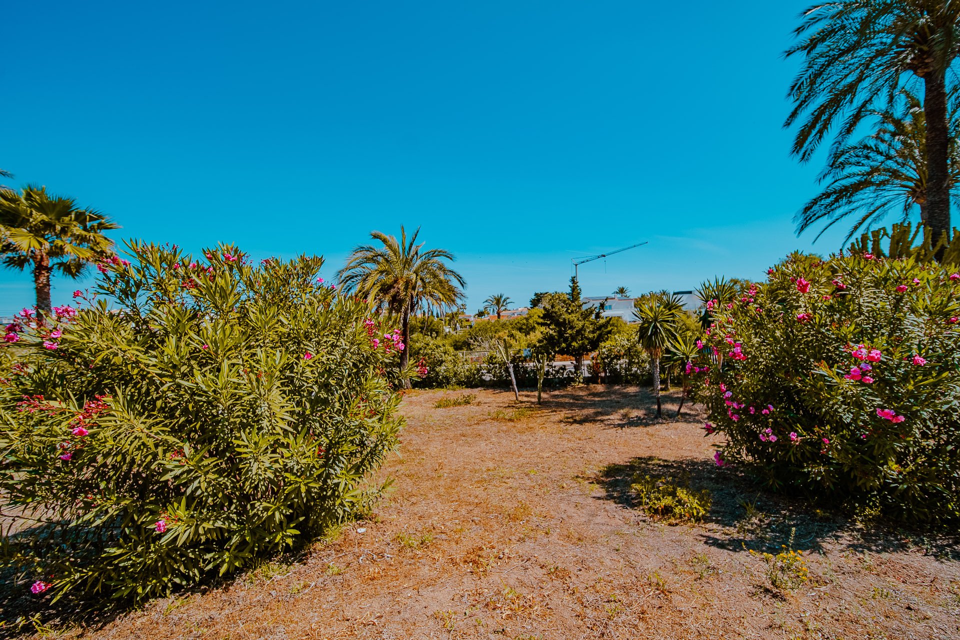 Resale - Villa * - Orihuela Costa - Playa Flamenca *