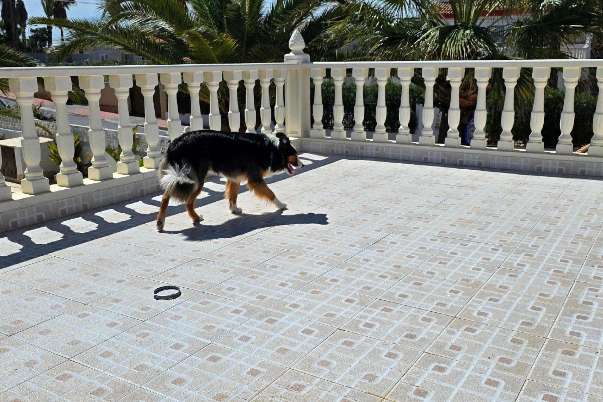 Resale - Villa * - Torrevieja - El chaparral *