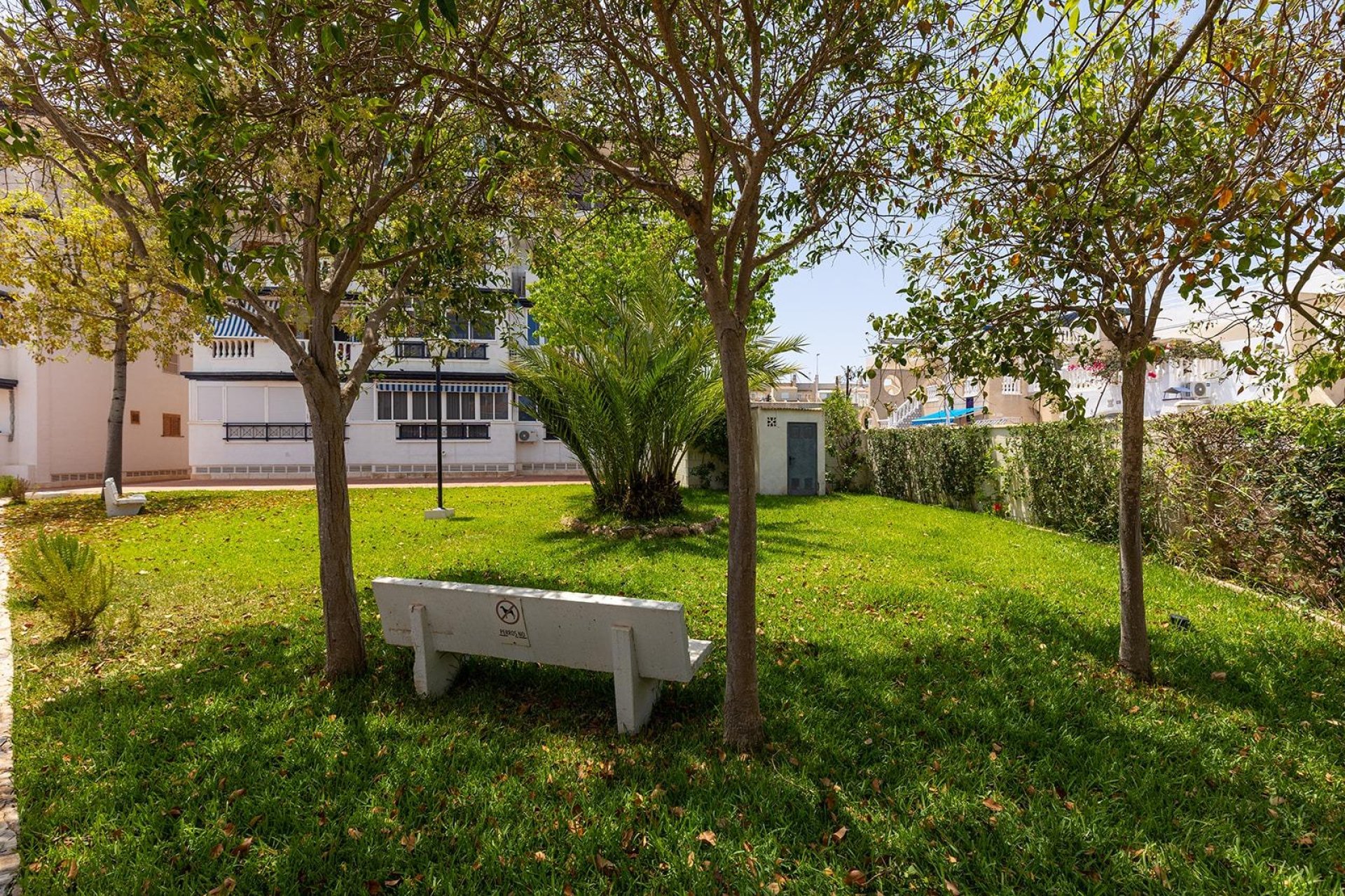 Resale - Villa * - Torrevieja * - La Mata *