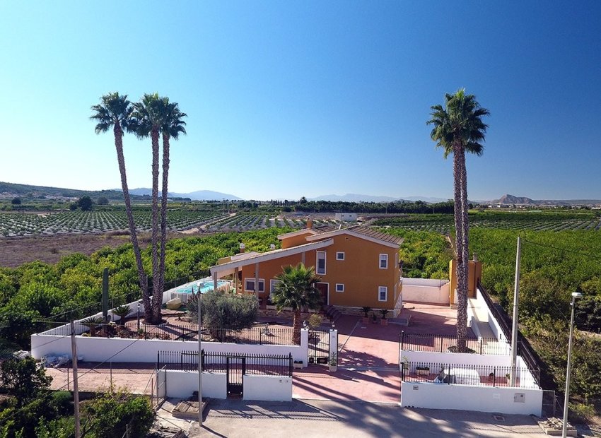 Reventa - 5. Finca / Country Property - Orihuela