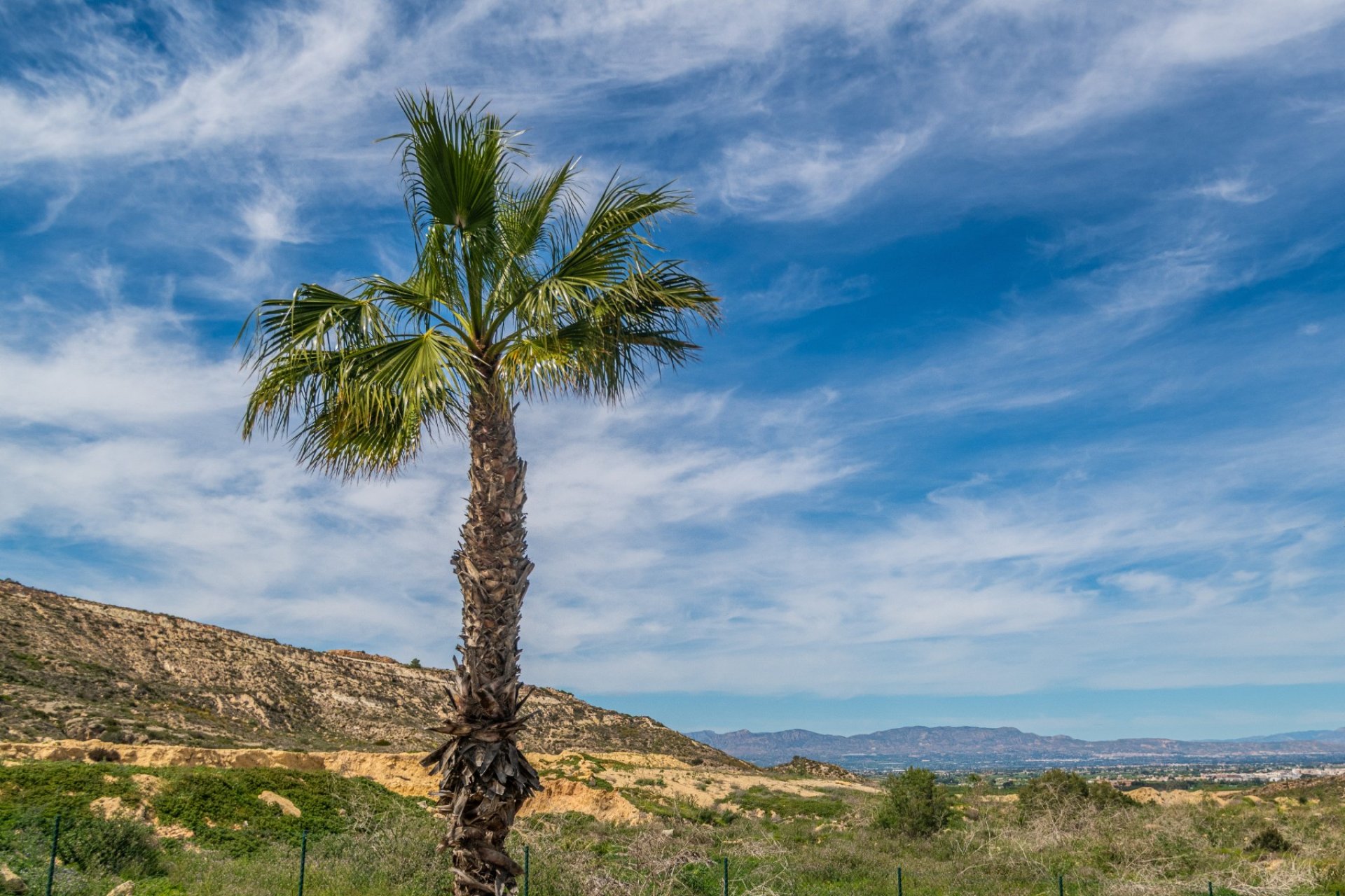 Reventa - Apartamento / Piso - Algorfa - La Finca Golf