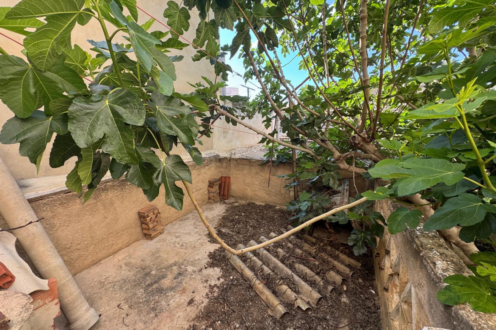 Reventa - Apartamento / Piso - Benejúzar