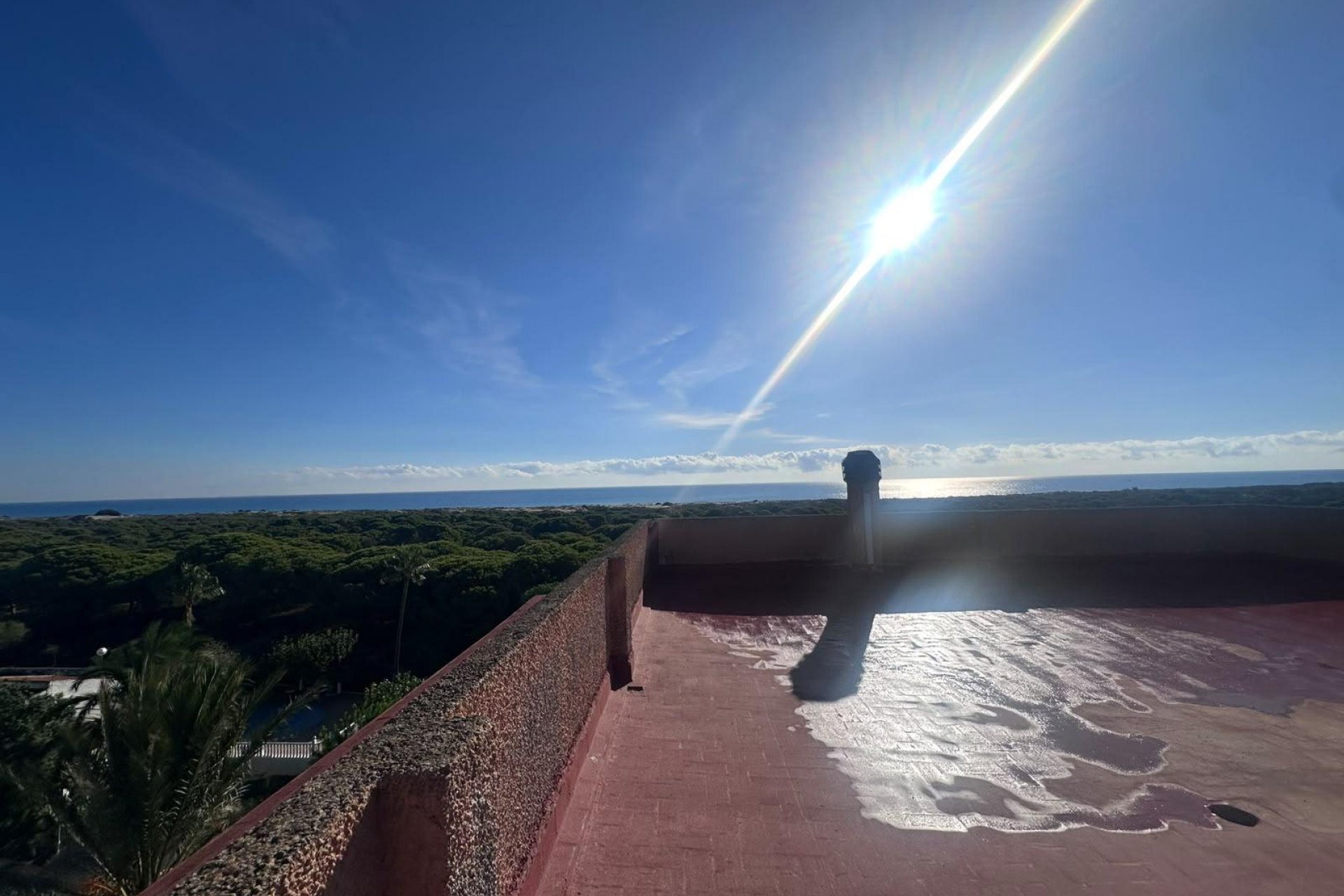 Reventa - Apartamento / Piso - Guardamar del Segura