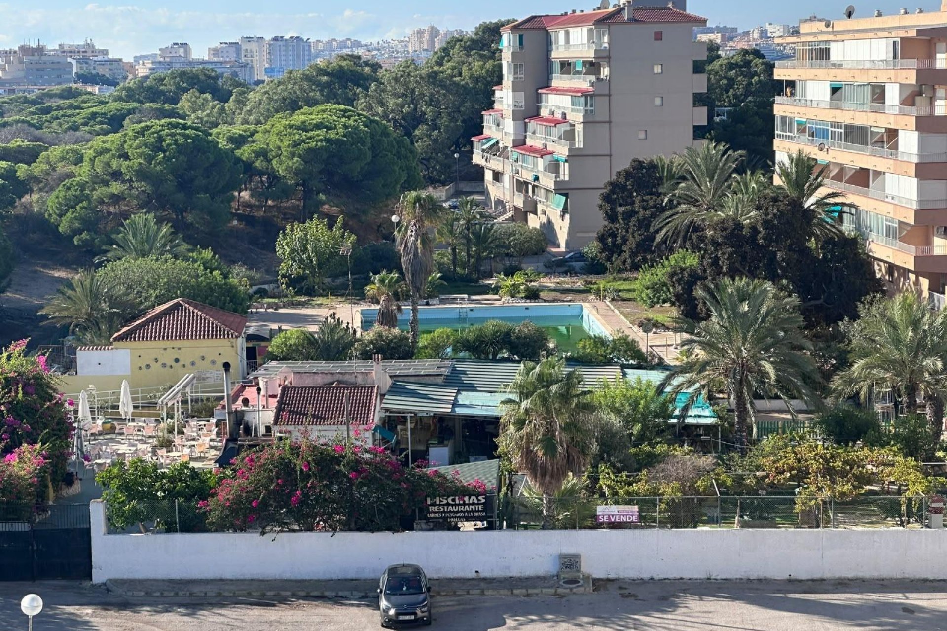 Reventa - Apartamento / Piso - Guardamar del Segura