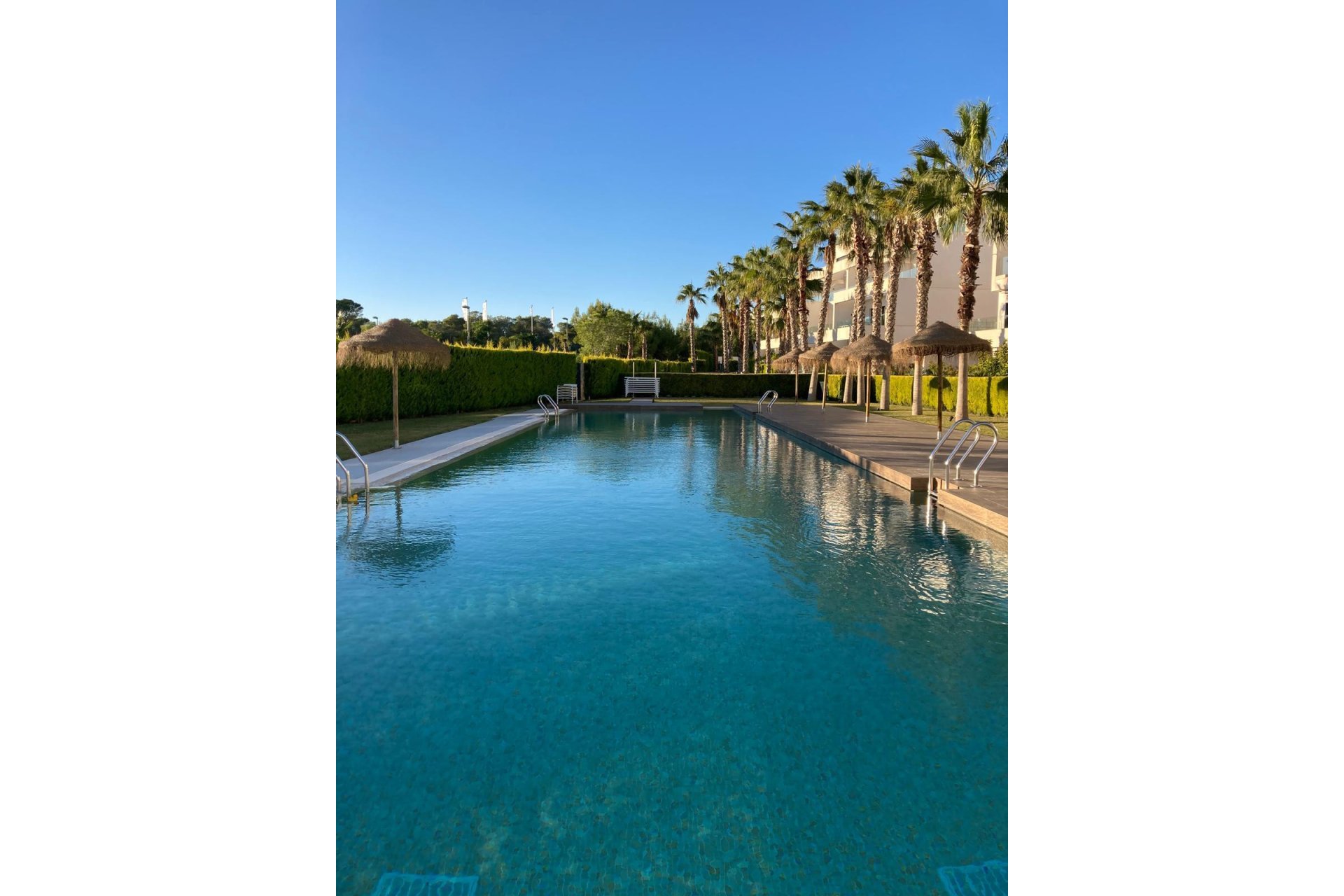 Reventa - Apartamento / Piso - LAS COLINAS