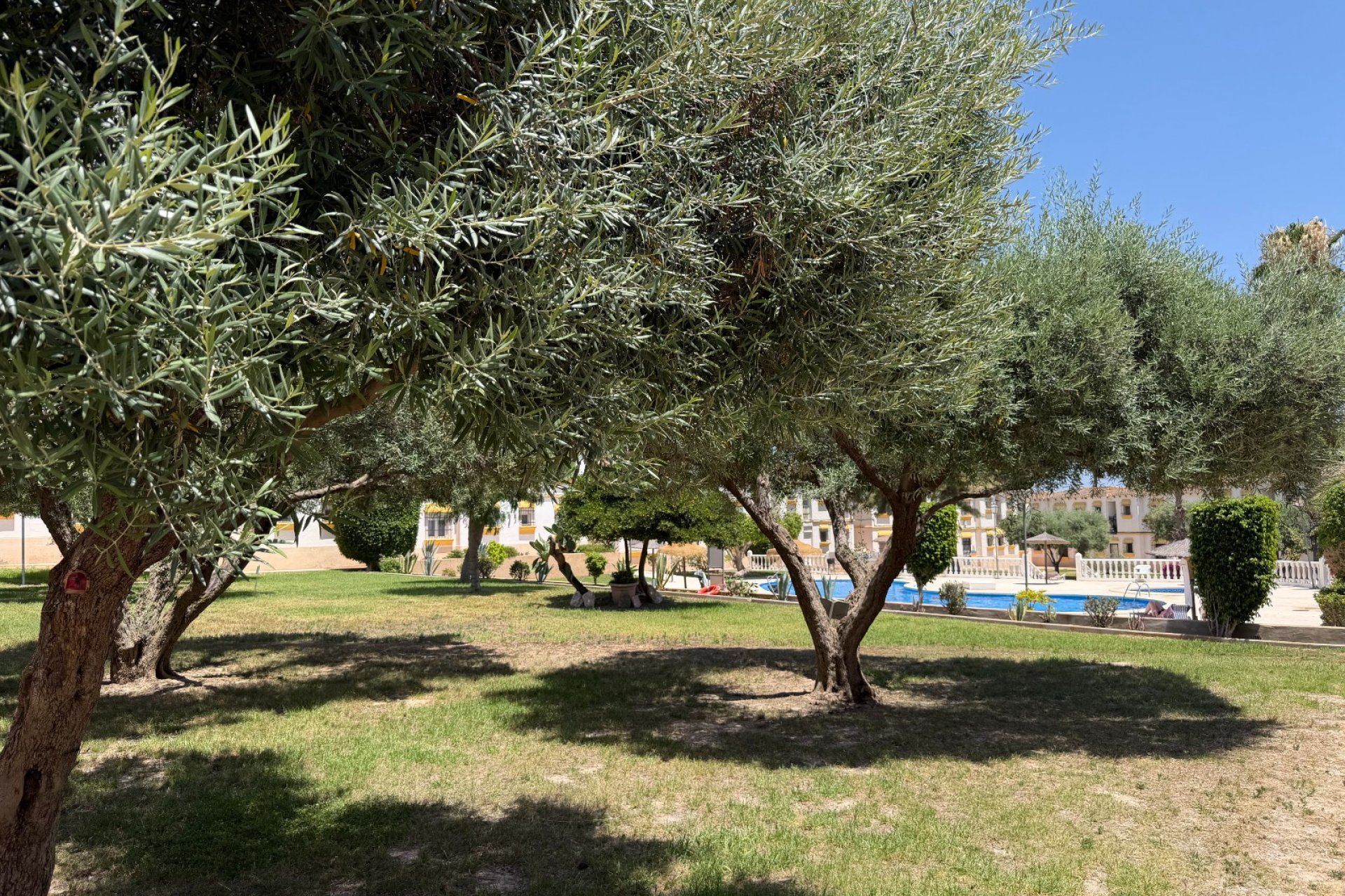Reventa - Apartamento / Piso - Orihuela Costa - Blue Lagoon