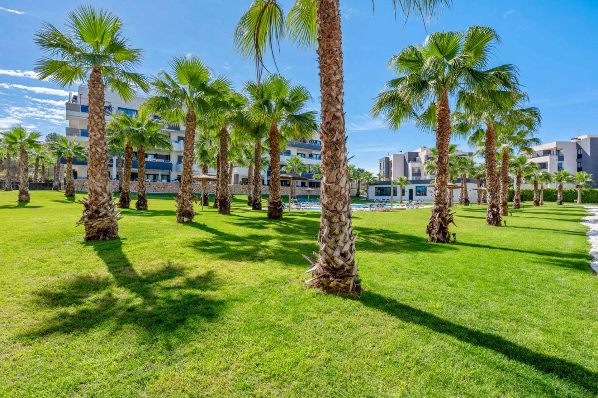 Reventa - Apartamento / Piso - Orihuela Costa - Los Altos