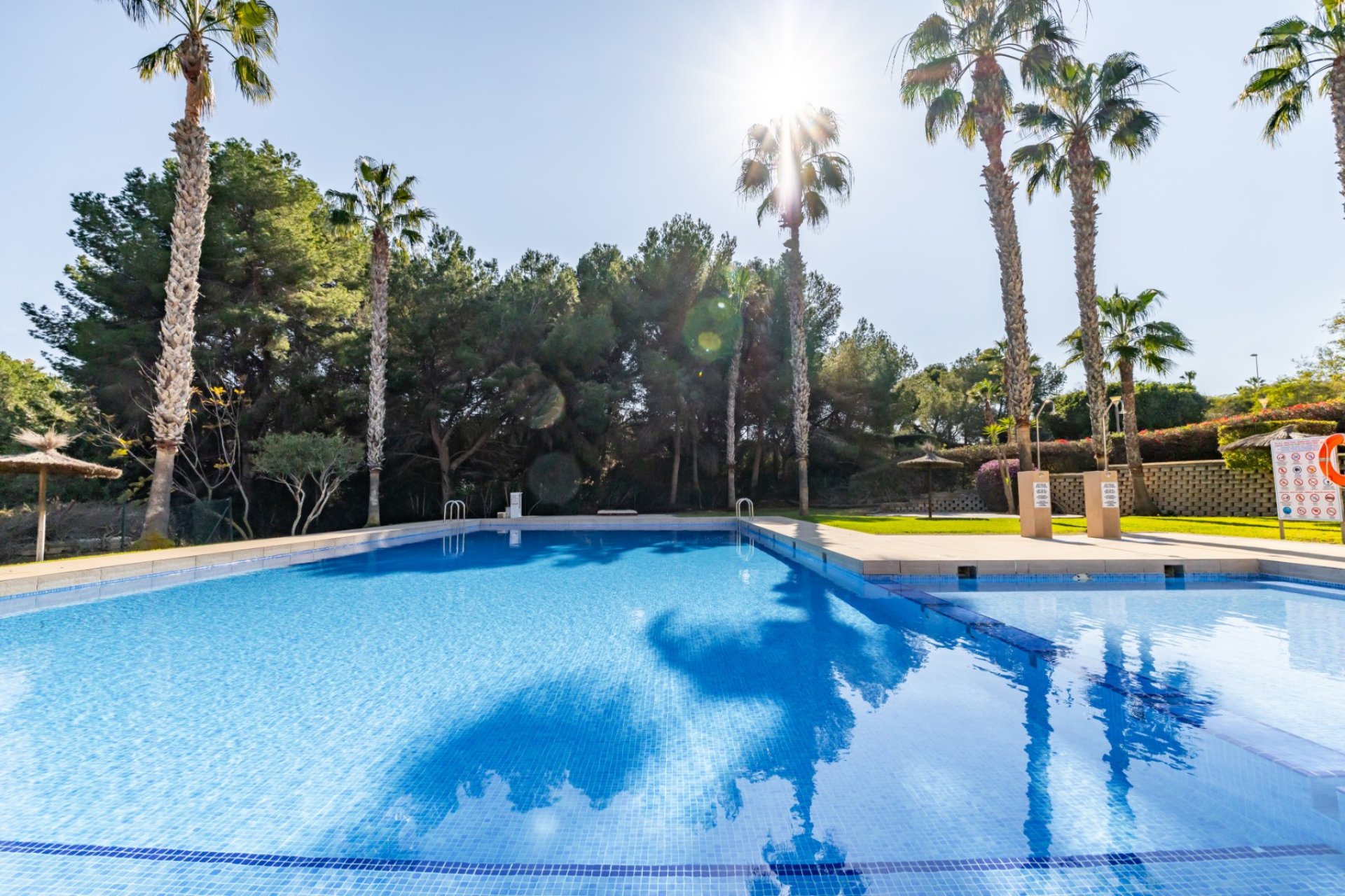 Reventa - Apartamento / Piso - Orihuela Costa - Los Dolses*