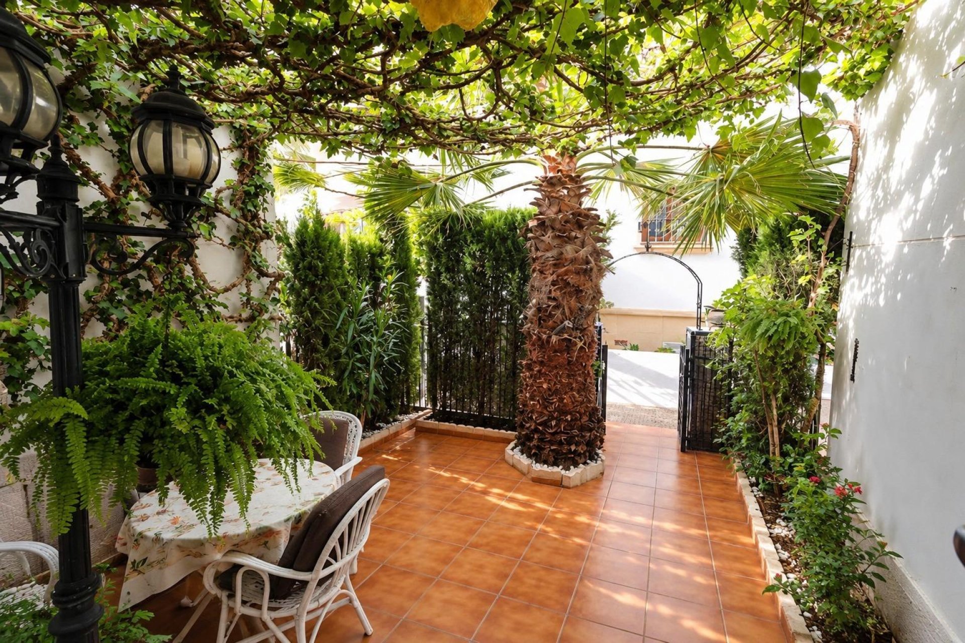 Reventa - Apartamento / Piso - Orihuela Costa - PAU 8