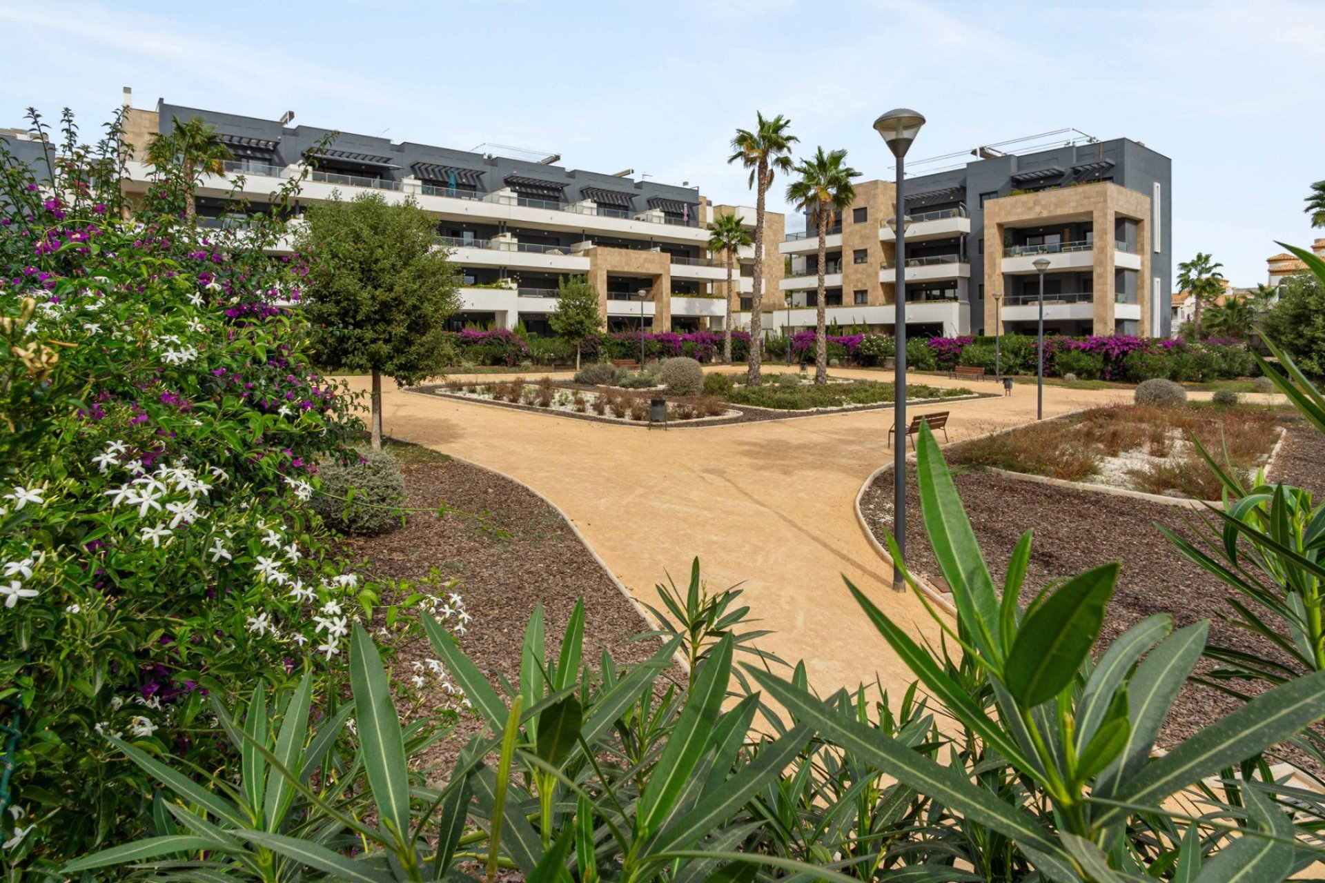 Reventa - Apartamento / Piso - Orihuela Costa - Playa Flamenca