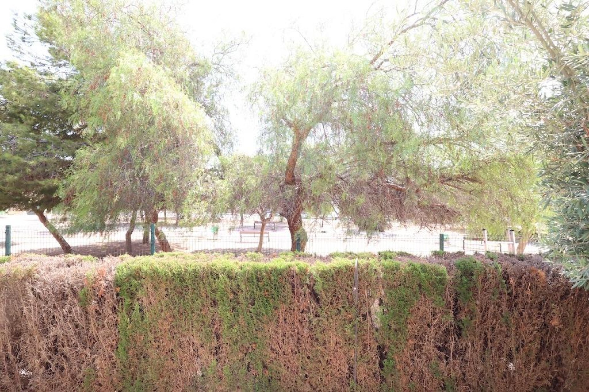 Reventa - Apartamento / Piso - Orihuela Costa - Punta Prima