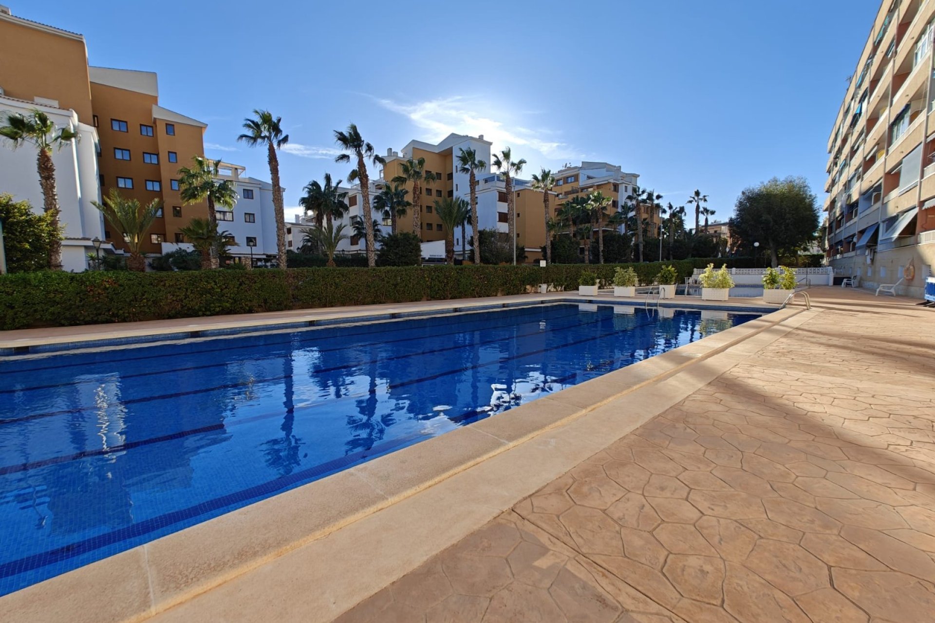 Reventa - Apartamento / piso - Orihuela Costa - Punta Prima