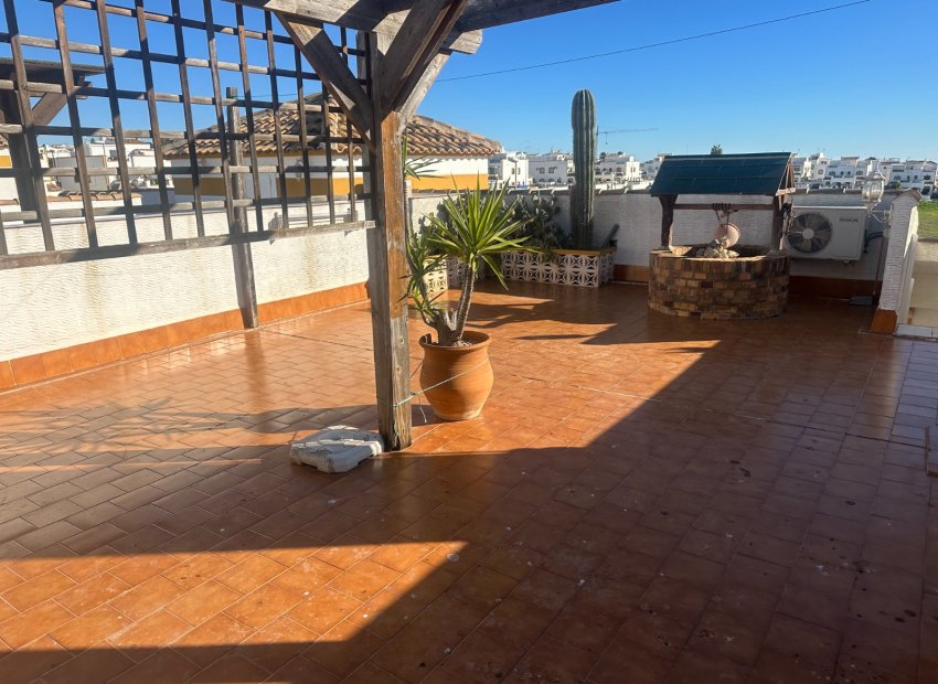 Reventa - Apartamento / Piso - Orihuela - Entre Naranjos