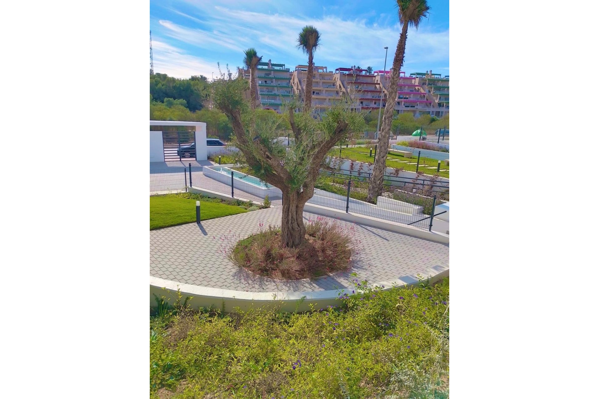 Reventa - Apartamento / Piso - Orihuela