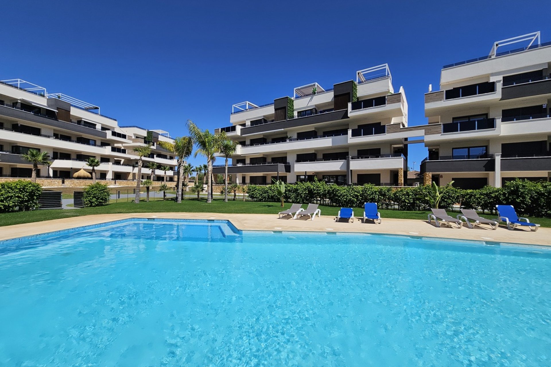 Reventa - Apartamento / piso - Playa Flamenca