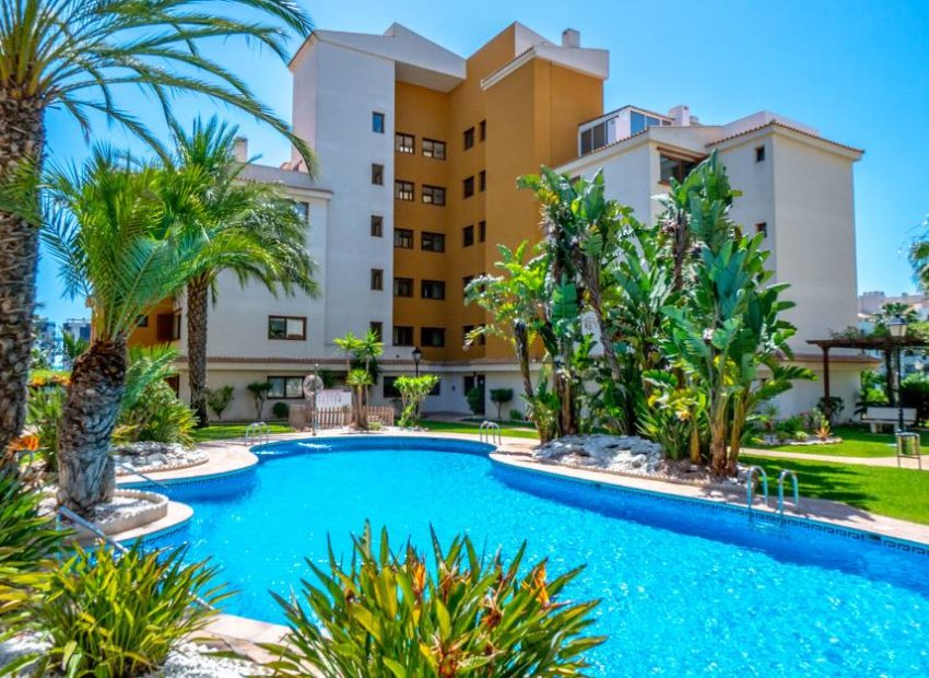 Reventa - Apartamento / Piso - Punta Prima