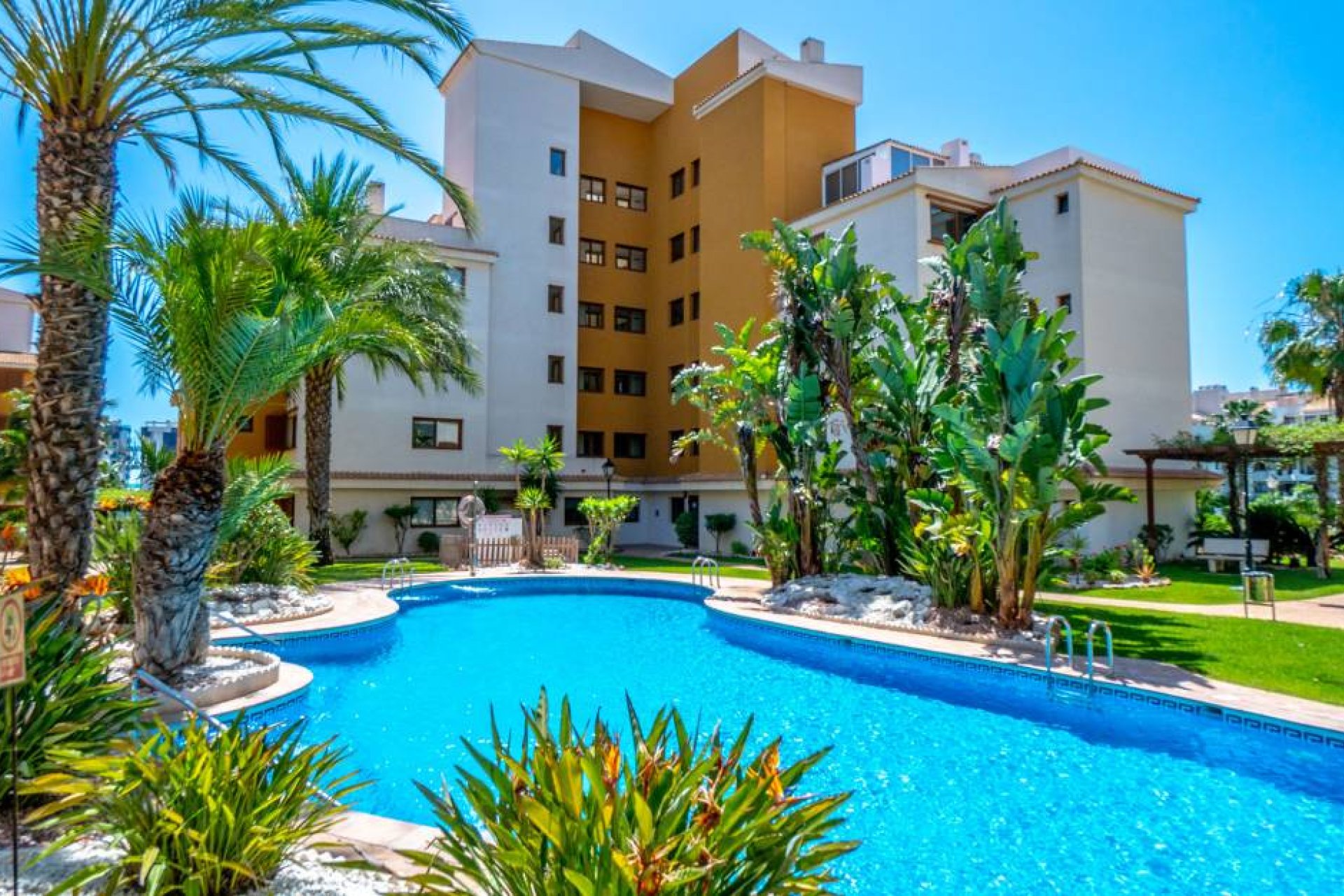 Reventa - Apartamento / Piso - Punta Prima