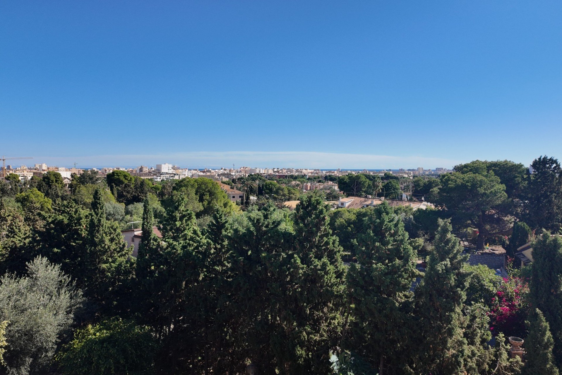 Reventa - Apartamento / Piso - San Juan de Alicante