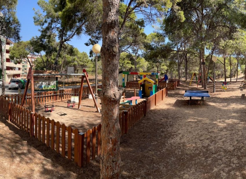 Reventa - Apartamento / Piso - Torrevieja - Acequion