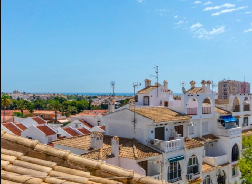 Reventa - Apartamento / Piso - Torrevieja - Calas blanca