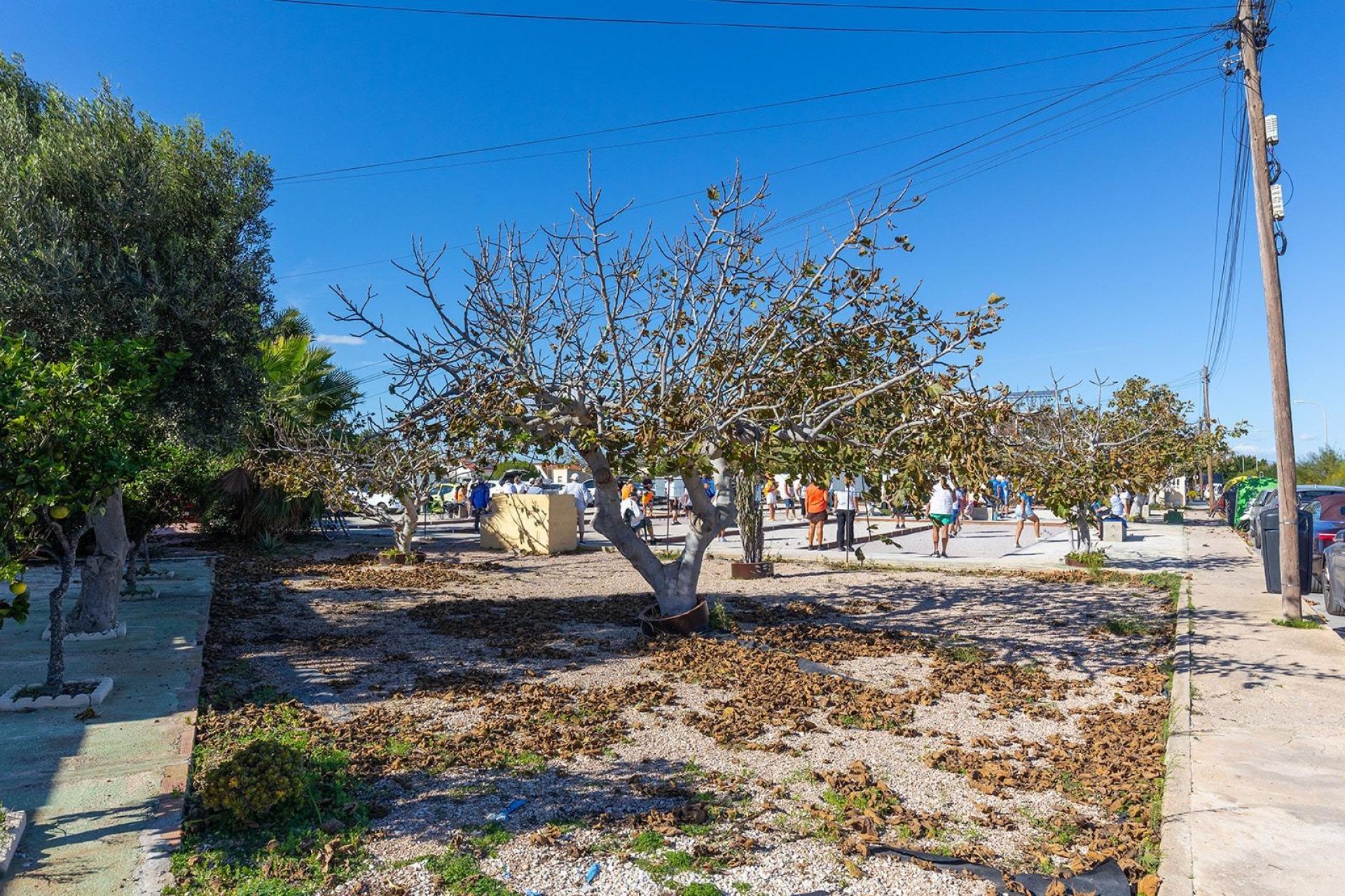 Reventa - Apartamento / Piso - Torrevieja - La Siesta - El Salado - Torreta