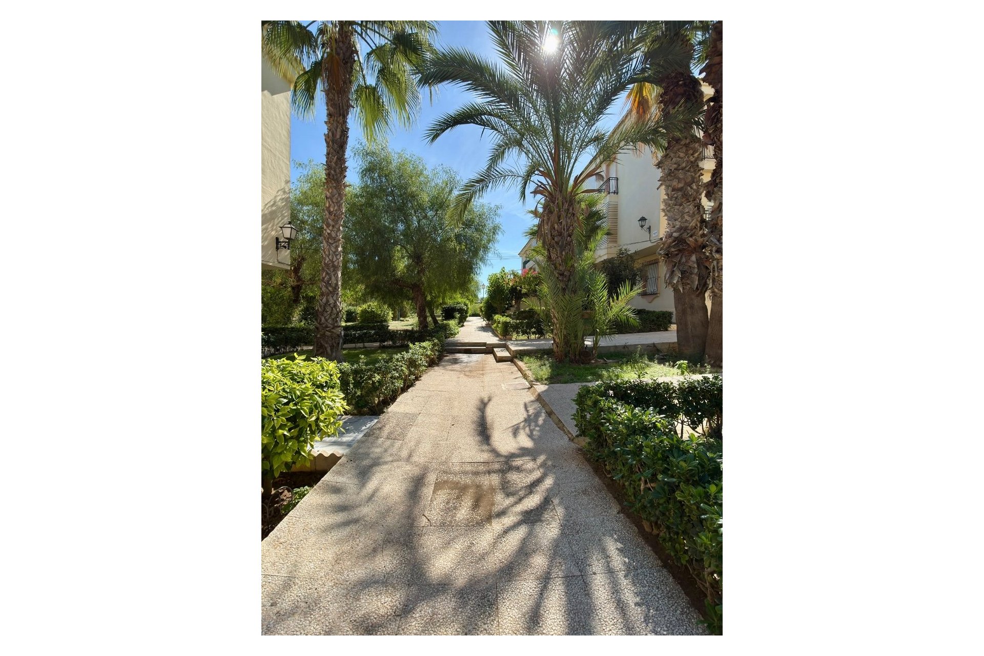 Reventa - Apartamento / Piso - Torrevieja - La Veleta