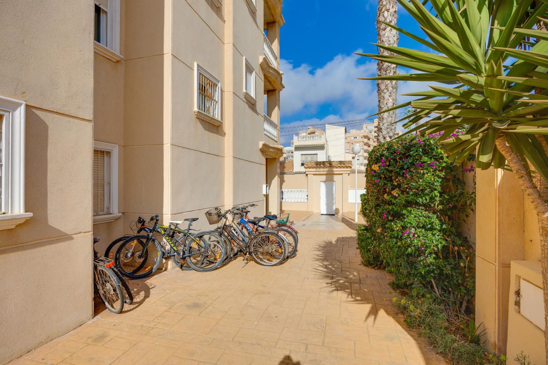 Reventa - Apartamento / Piso - Torrevieja - Nueva Torrevieja