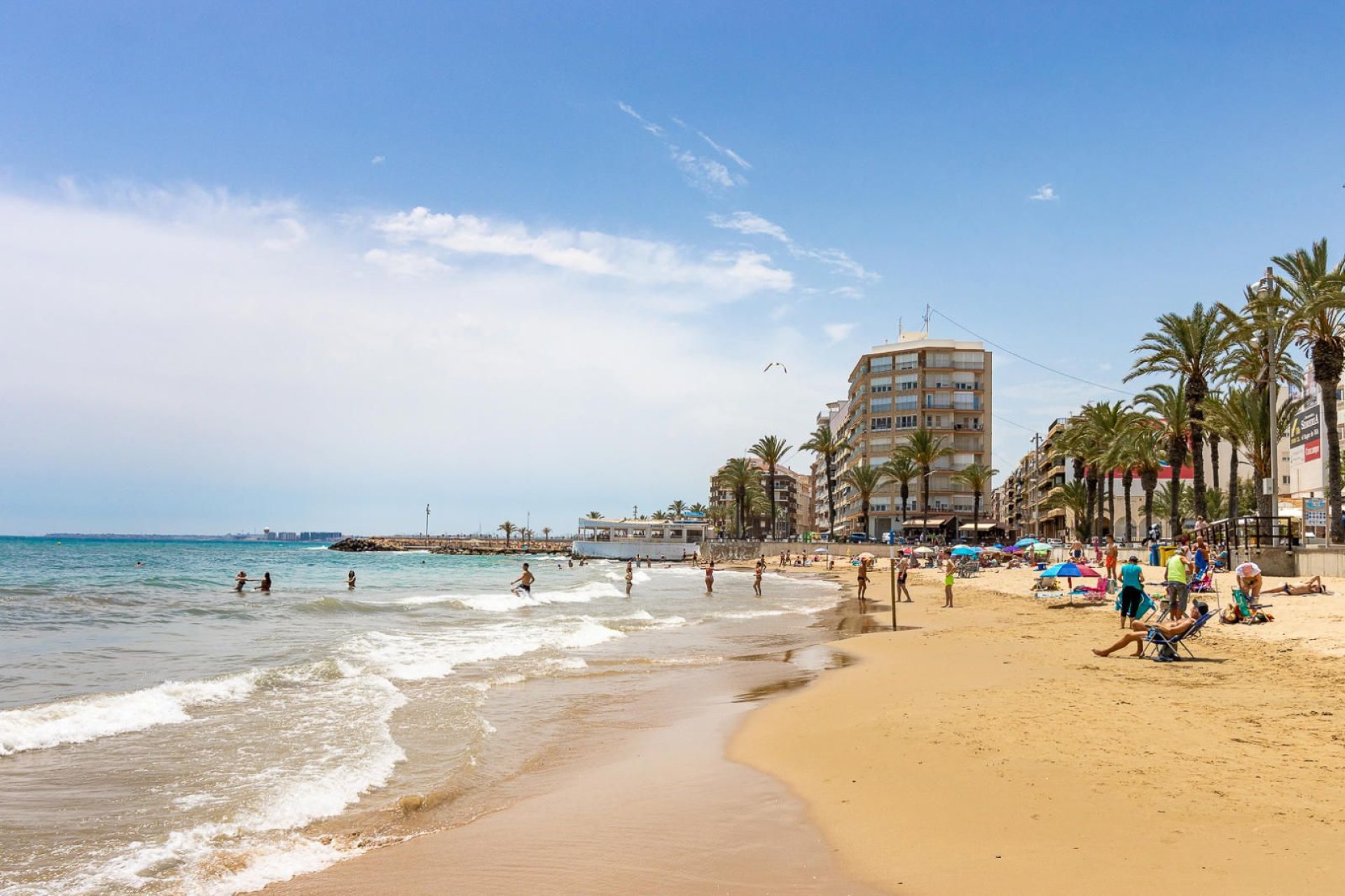 Reventa - Apartamento / Piso - Torrevieja - Nueva Torrevieja