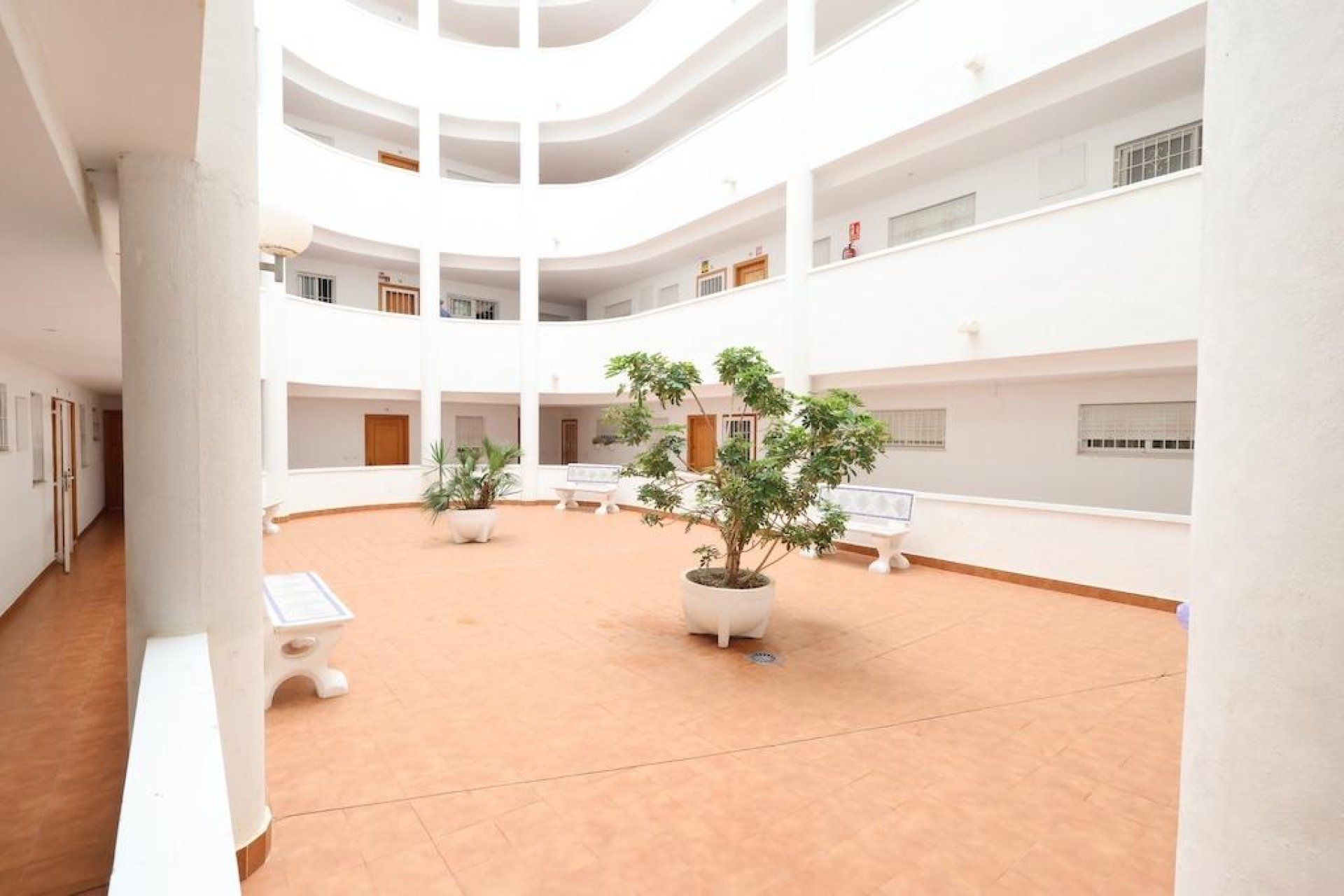 Reventa - Apartamento / Piso - Torrevieja - Parque de las Naciones