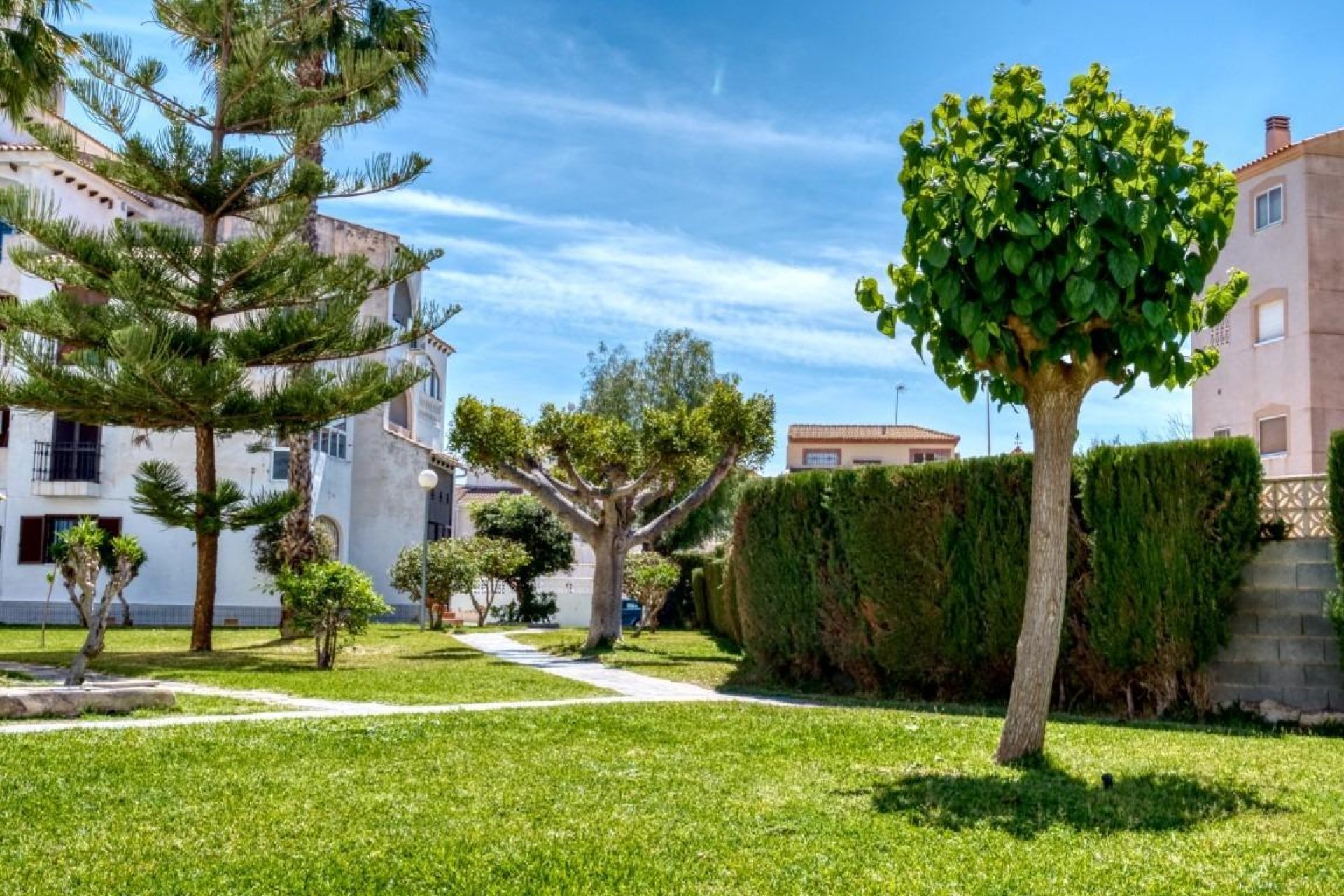 Reventa - Apartamento / Piso - Torrevieja - Playa del Cura