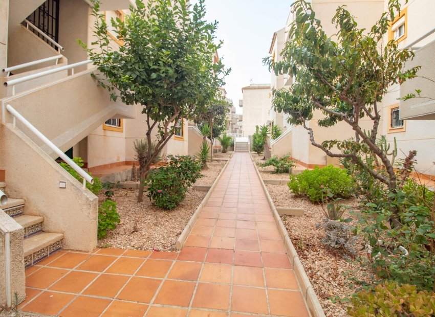 Reventa - Apartamento / Piso - Torrevieja - Torreblanca