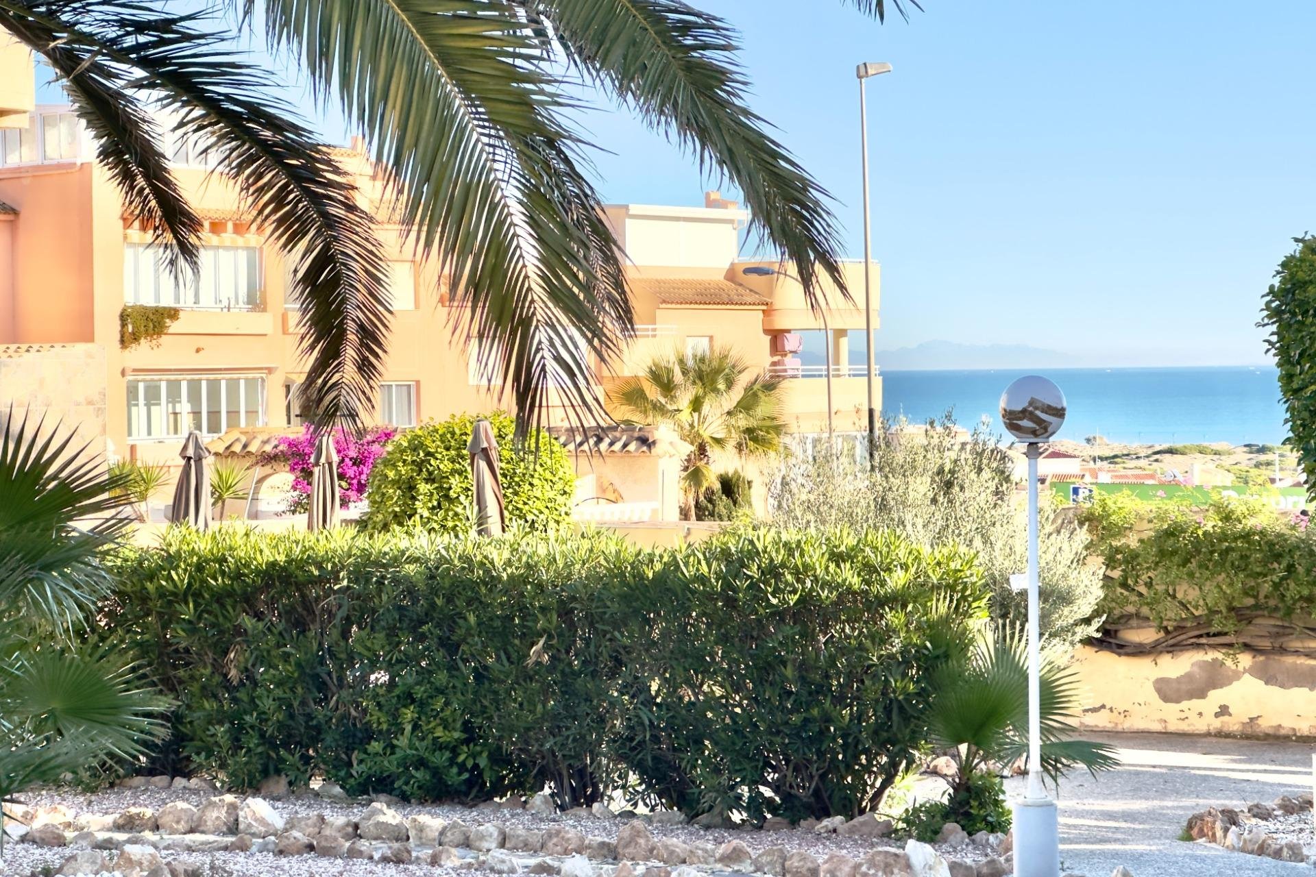 Reventa - Apartamento / Piso - Torrevieja - Torreblanca