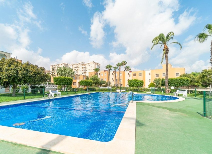 Reventa - Apartamento / Piso - Torrevieja - Torreblanca