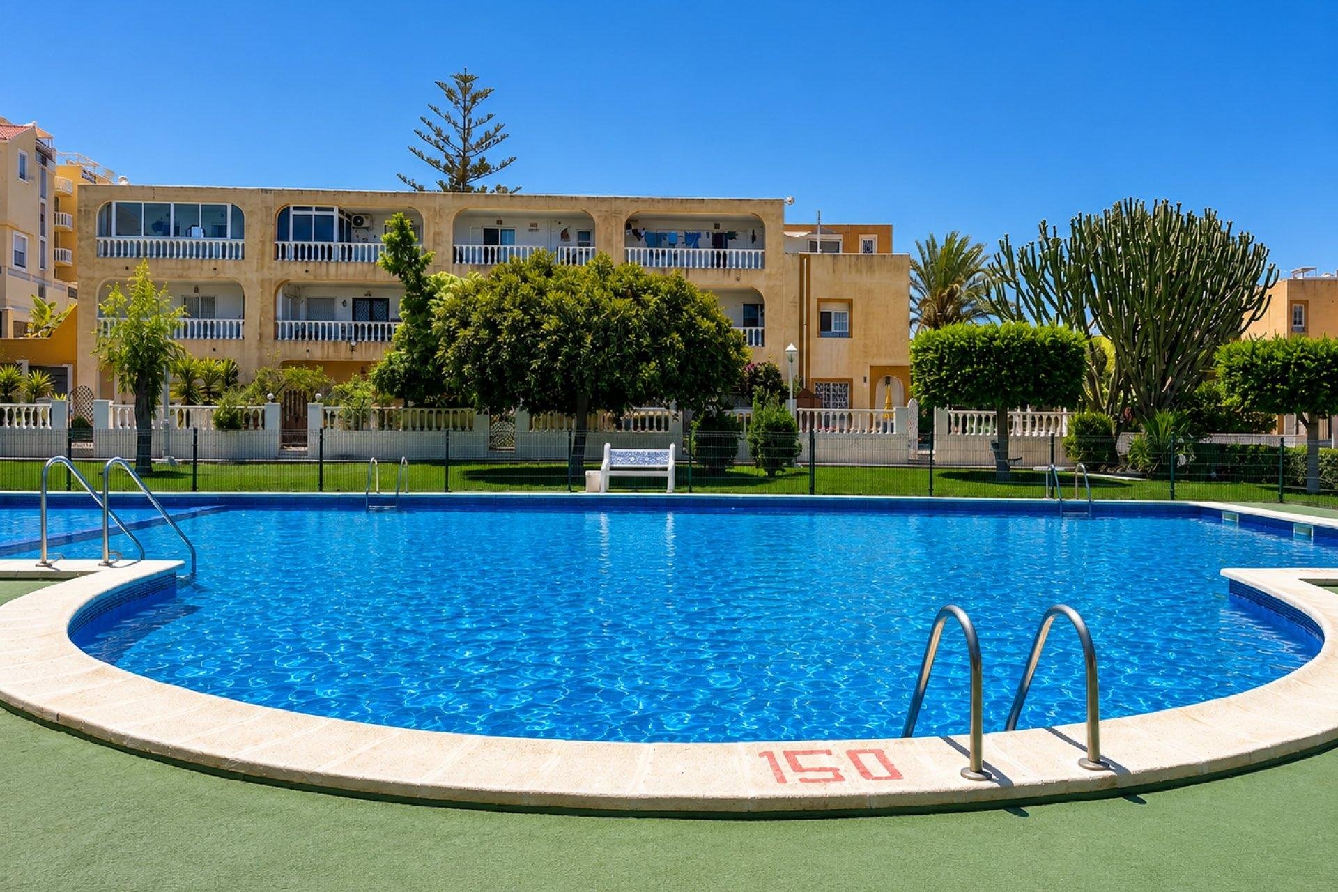 Reventa - Apartamento / Piso - Torrevieja - Torreblanca