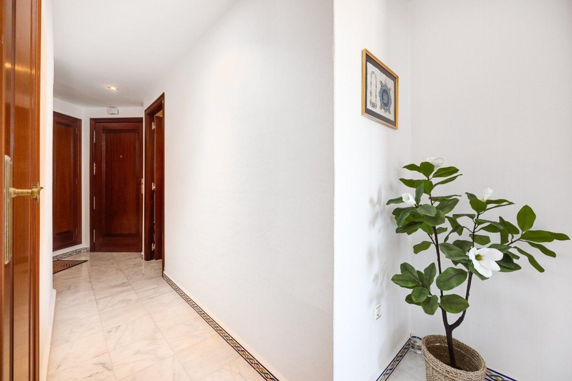 Reventa - Apartamento / Piso - Torrevieja - Torrejón