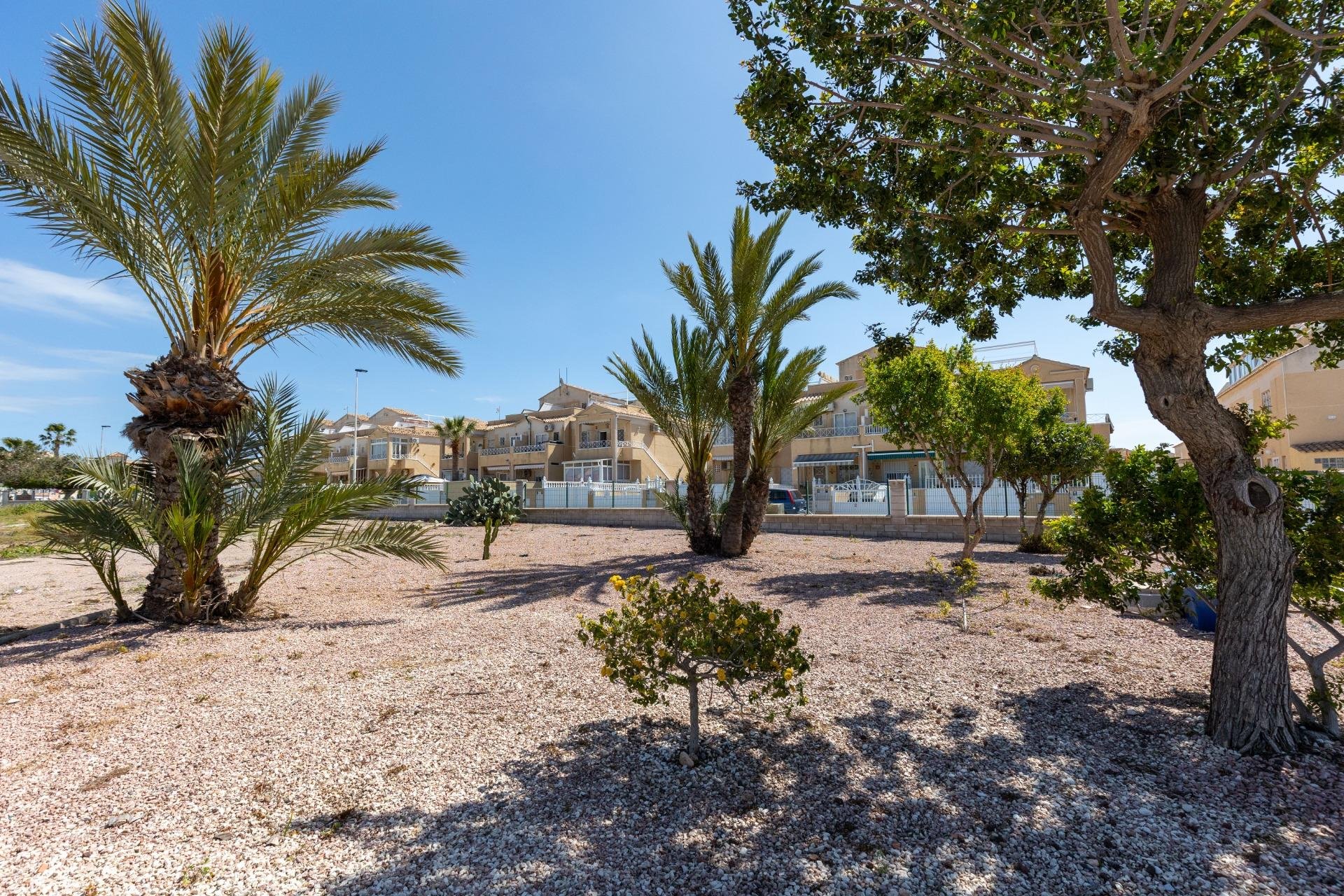 Reventa - Apartamento / Piso - Torrevieja - Torretas