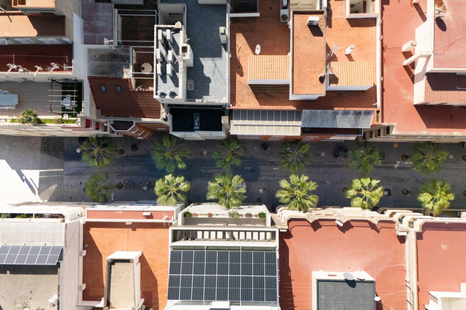 Reventa - Apartamento / Piso - Torrevieja