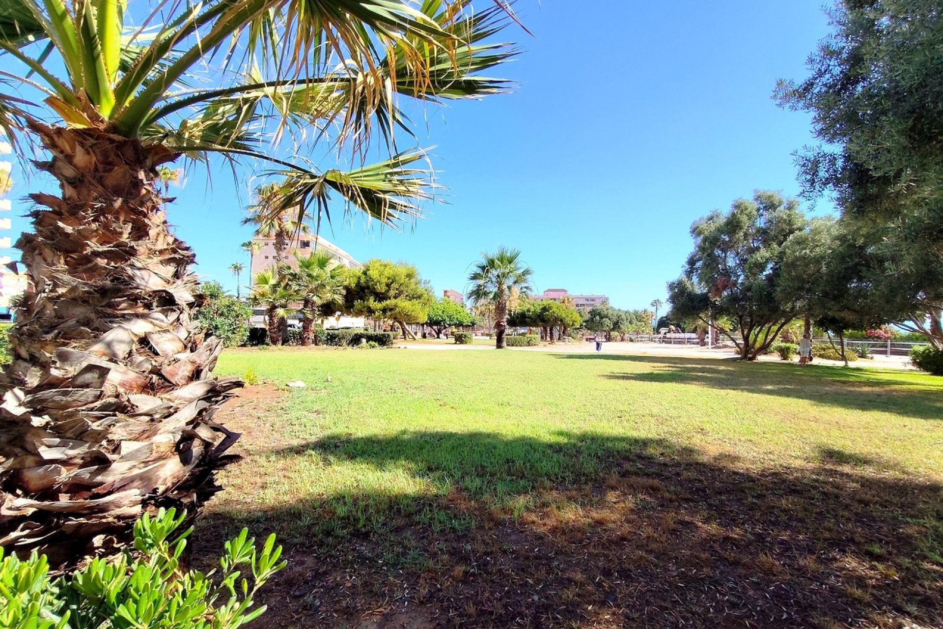 Reventa - Apartamento / Piso - Torrevieja
